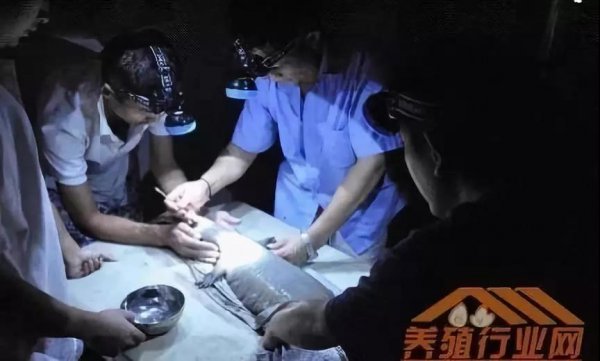 資本試水區(qū)塊鏈生物科技+大健康，場(chǎng)景應(yīng)用時(shí)代已然來(lái)臨！